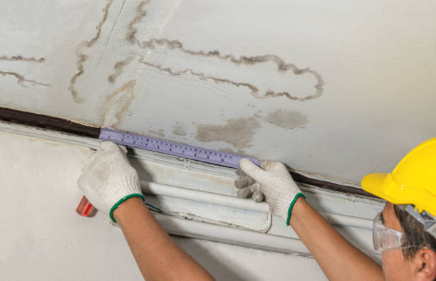 Reliable Water Damage contractor in Uneeda, WV by Water Damage Irwin